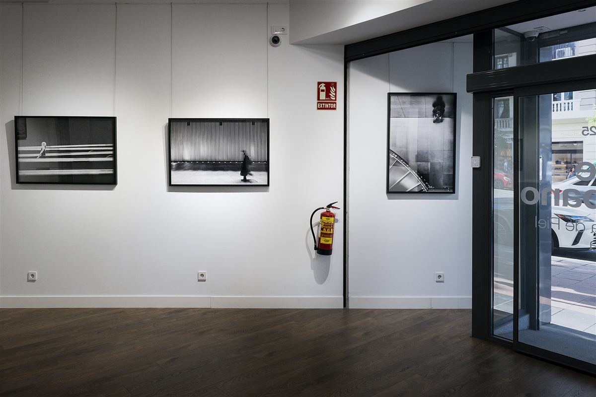 Detalle de la exposición Sinfonía de piel y piedra